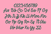 Wishnut - Duo Display Font, a Sans Serif Font by Marvadesign (Thumbnail 11 of 13)