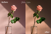 35 Nostalgia Lightroom Presets, a Preset Add-On by ThemeTango (Thumbnail 3 of 9)