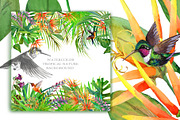 Watercolor Tropical plant & Bird, an Object Graphic by FineArt (Thumbnail 15 of 22)