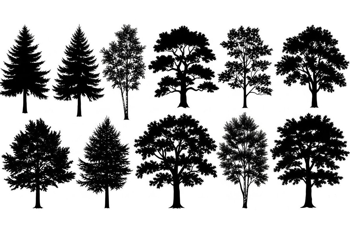 Woodland & Forest Tree Silhouettes B, an Illustration by jahid234 (Photo 22 of 41)