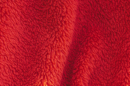 Red blanket texture on the sunlight containing cloth, blanket, and cotton, an Abstract Photo by rubenchase