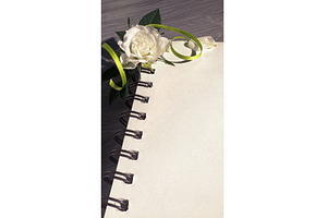 Spiral notebook with blank pages, a Photo by tilialucida