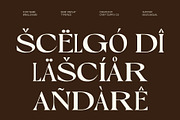 Briallen Mix, a Serif Font by Craft Supply Co. (Thumbnail 7 of 8)