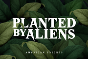 American Frights - Horror Serif Font, a Serif Font by The Branded Quotes (Thumbnail 3 of 7)