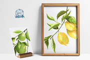 Lemon Lime Orange Watercolor Bundle, a Food Illustration by LilyBoo Clipart (Thumbnail 2 of 6)