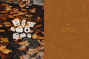Autumn Illustrations, a Seasonal Illustration by Grey Ritual Studio (Thumbnail 7 of 11)