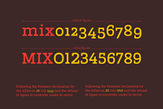 Marek Slab / A slab serif font f., a Slab Serif Font by Rosario Nocera (Thumbnail 5 of 9)