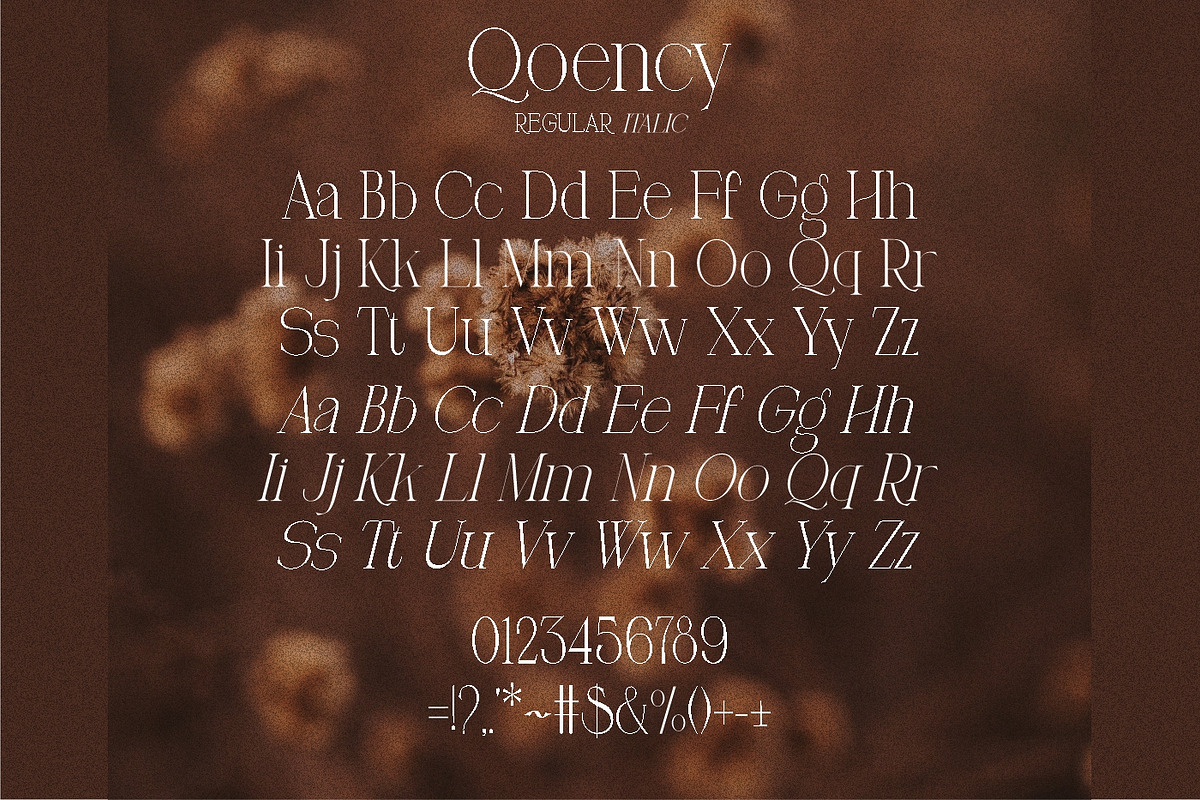 Qoency Modern Serif, a Serif Font by Glyphstyle (Photo 5 of 8)