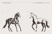 Galloping Horse Spirit Sketches, an Animal Illustration by TheMountBirdStudio (Thumbnail 4 of 6)