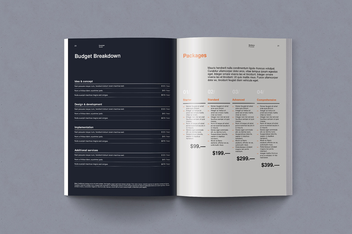 Kreatype Business Proposal, a Brochure Template by Kreatype Studio (Photo 9 of 12)