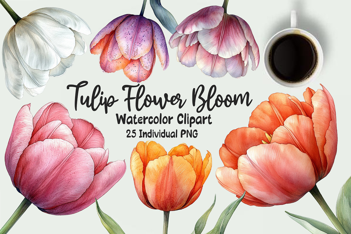 Tulip Flower Bloom Clipart, an Illustration by OK Design (Photo 1 of 5)