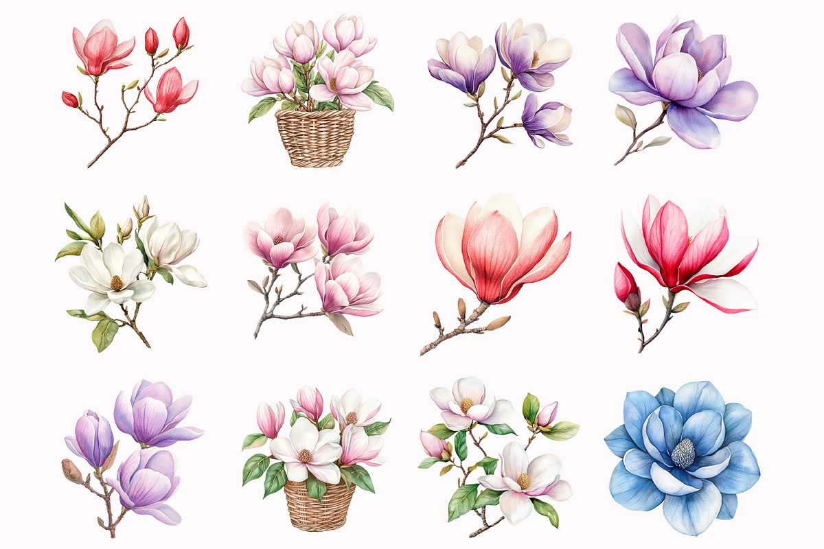 Watercolor Magnolia Flower Clipart, an Illustration by Design Market (Photo 3 of 5)