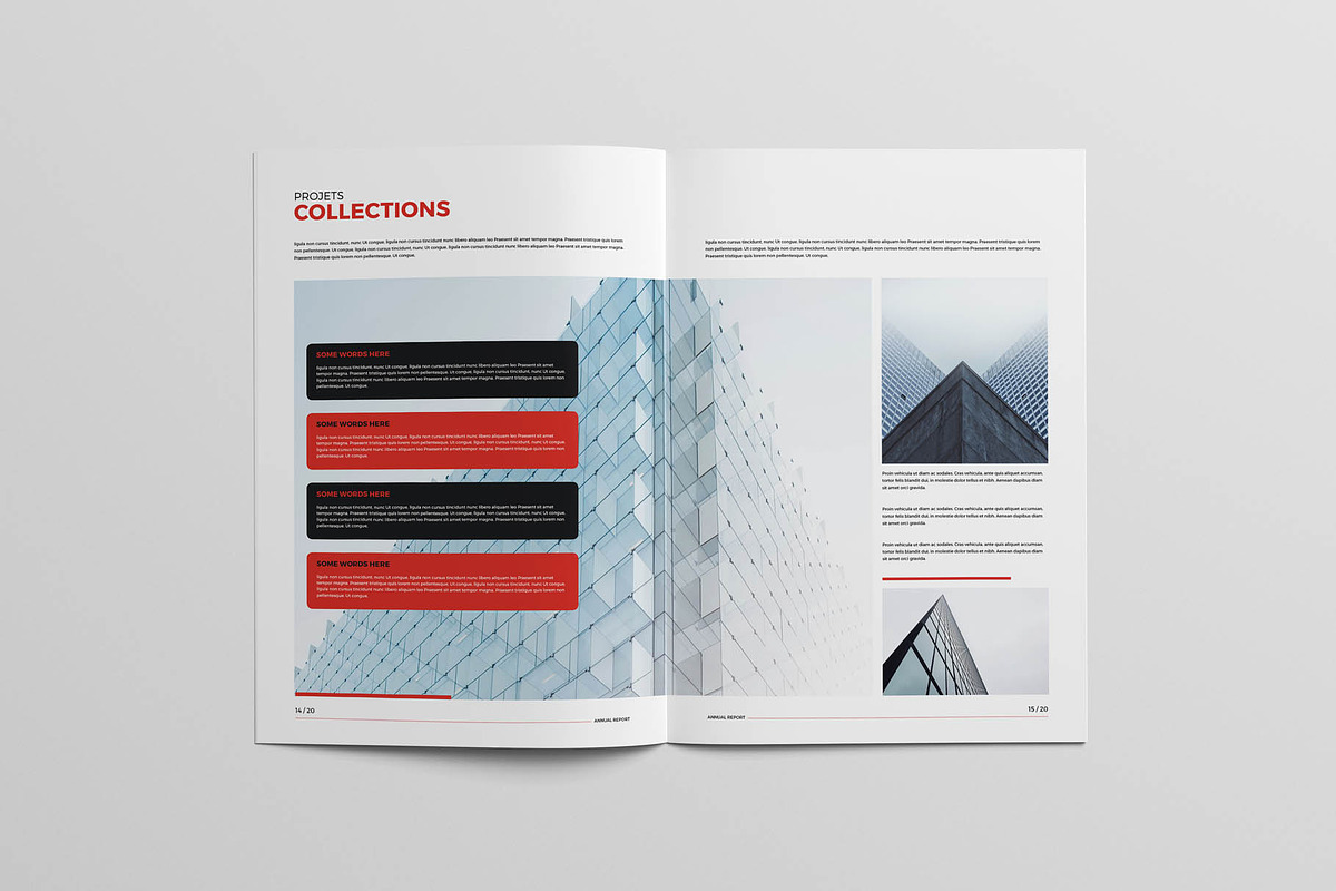 Annual Report Brochure, a Brochure Template by New Lines (Photo 6 of 11)