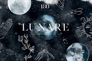 Lunare. Mysterious Graphic Set, an Animal Illustration by Muse Artist (Thumbnail 1 of 16)