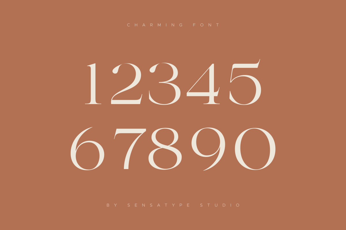 Charming - Classy & Decorative Font, a Serif Font by Sensatype (Photo 18 of 21)