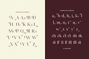 Deluxer - Elegant Modern Serif, a Serif Font by Typia Nesia (Thumbnail 3 of 16)
