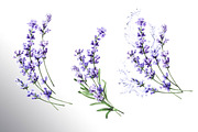 Lavender Mood, a Decorative Illustration by Daria Ustiugova (Thumbnail 4 of 14)