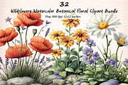 Wildflowers Watercolor Botanical Flo, an Illustration by Digital Artistic99 (Thumbnail 1 of 11)