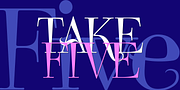 Take Five, a Serif Font by Wiescher-Design (Thumbnail 1 of 2)