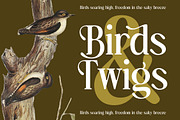 Bulings Nature Vintage Serif, a Serif Font by timelesstype.co (Thumbnail 5 of 20)