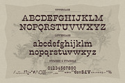 Revslonia, a Serif Font by graphicook (Thumbnail 3 of 10)