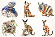 Australian Animals Clipart, an Illustration by Pixels.Craft (Thumbnail 2 of 6)