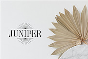 Minimal Logo Kit For Illustrator, a Branding & Logo Template by Forth and Wild (Thumbnail 14 of 14)