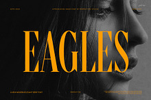 Eagles Serif Font