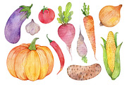 Vegetables Watercolor collections, a Food Illustration by Green_leaf_17 (Thumbnail 3 of 5)