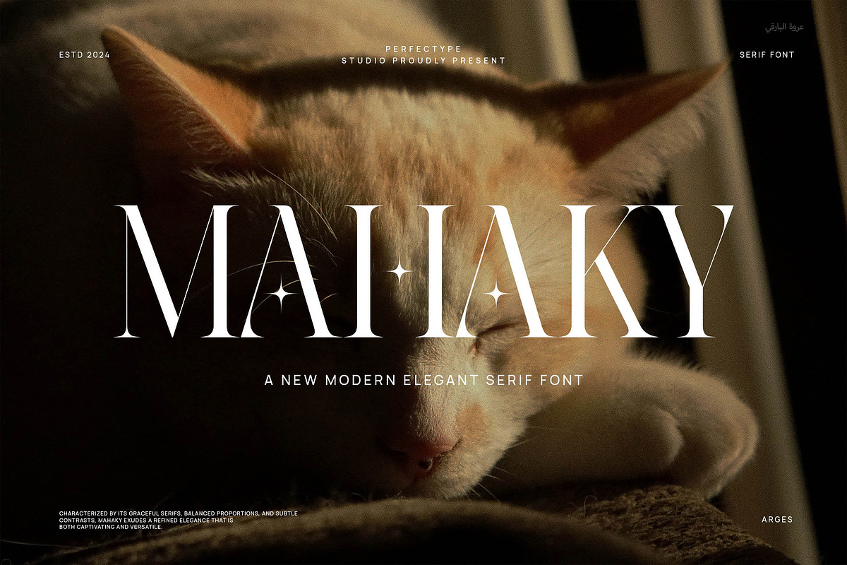 Mahaky Modern Serif Font By Perfectype