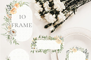 Vanilla summer. Watercolor flowers, a Decorative Illustration by Love Watercolor Store (Thumbnail 4 of 6)