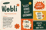 Wobli - Playful Handwritten Font, a Handwritten Font by Pitchlook.Studio (Thumbnail 4 of 4)