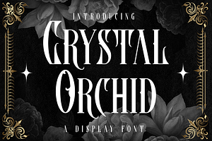Crystal Orchid Display Blackletter