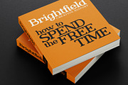 Brightfield Serif Font, a Serif Font by Cyritron (Thumbnail 9 of 12)