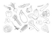 40 Procreate Vegetable Stamp Brushes, a Brush Add-On by BrushBoy (Thumbnail 3 of 4)