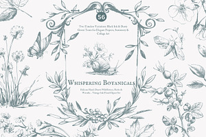 vintage clipart ink illustration set, a Decorative Illustration by Patishop Art