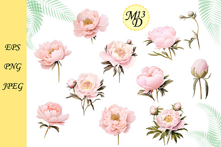 Set of 18 White-pink peony with gold