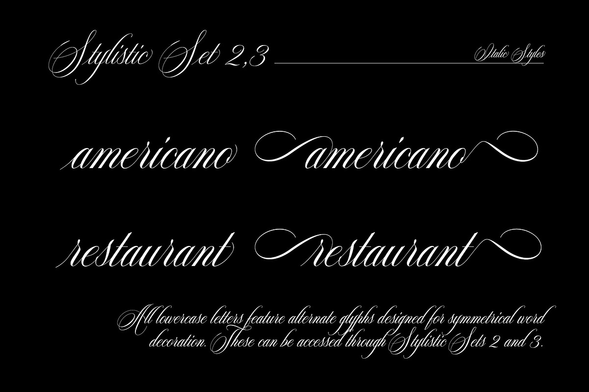 Reichamerina font family, a Serif Font by Ryul Davidson (Photo 23 of 27)