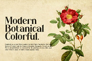 Borisna - Modern Display Serif Font, a Serif Font by Koplexs Studio (Thumbnail 9 of 18)