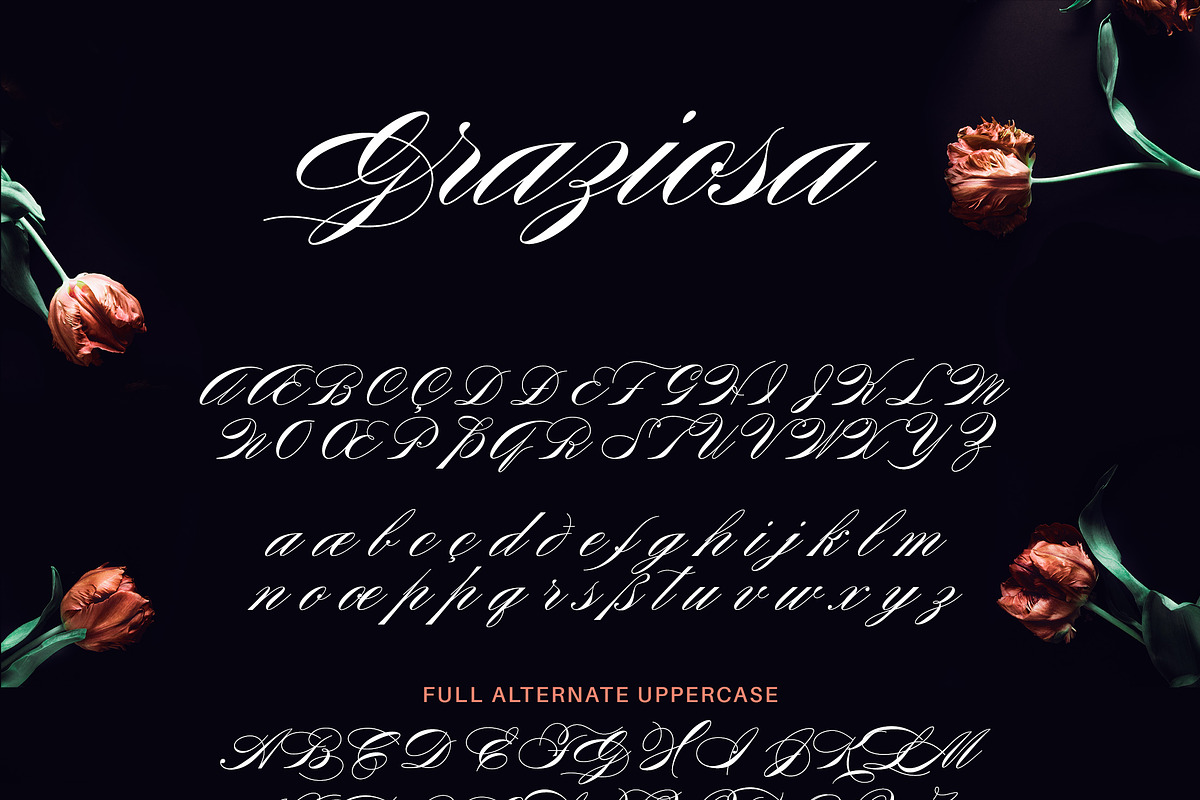 Graziosa Script Font, a Script Font by Corina Moscu (Photo 3 of 10)