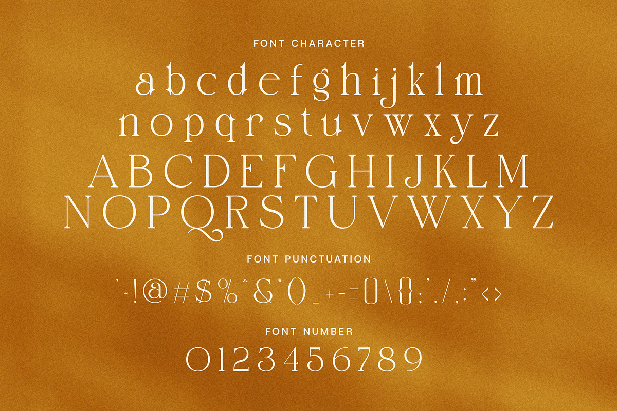 Jinglan Elegant Ligature Serif Font, a Serif Font by Elegant Font (Photo 7 of 8)