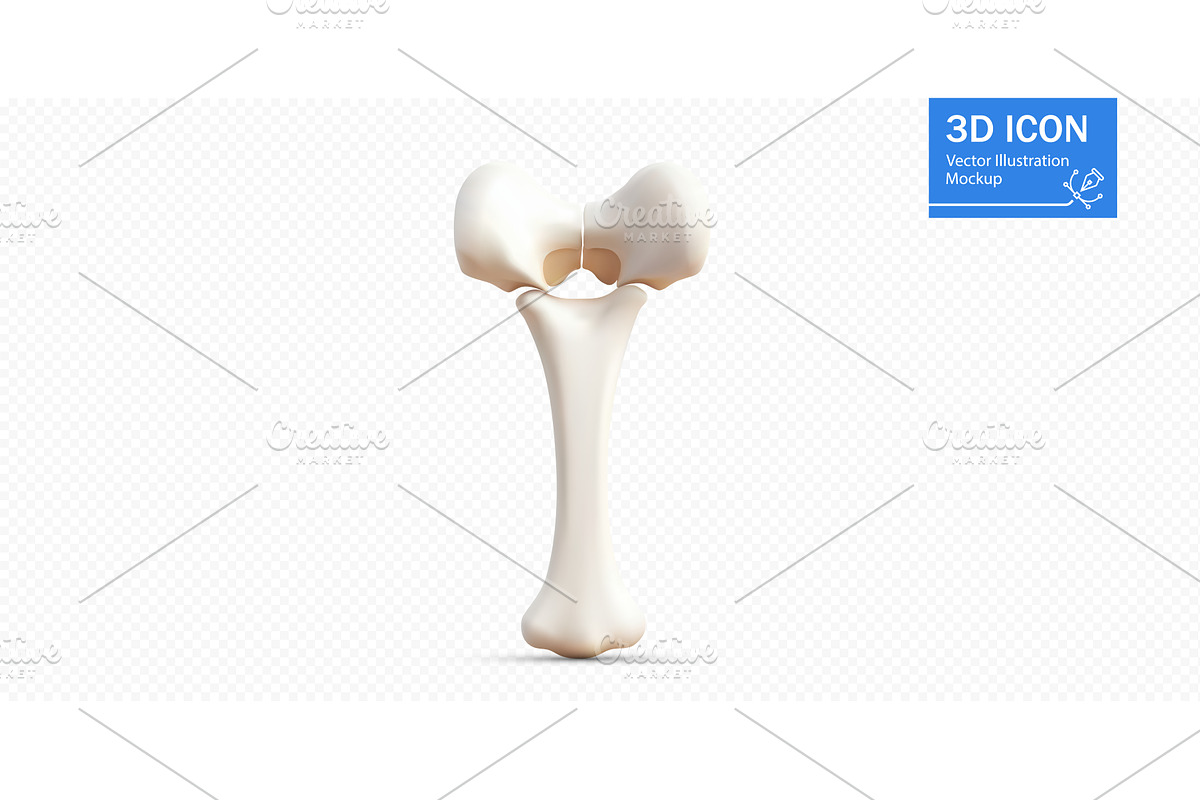 3D illustration of a human femur, an Illustration by ZinetroN
