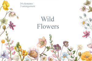 Watercolor Wild Summer Flowers.