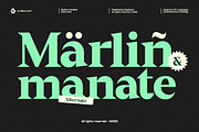 GC Milano – Strong Serif Elegance, a Serif Font by Glyphonic (Thumbnail 11 of 15)