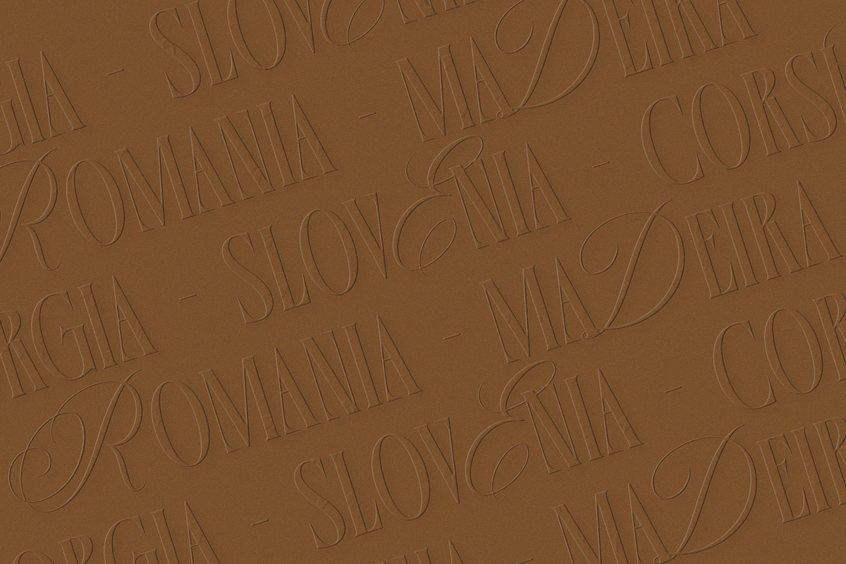 Velysha Grace – Hybrid Serif Script, a Serif Font by Almeera Std (Photo 10 of 10)
