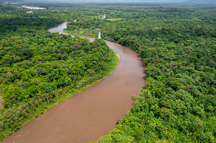 Aerial view of Amazon rainforest.