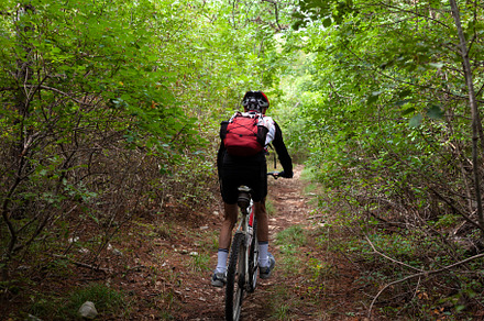 Mountain biker riding cycling in the autumn forest, a Sports & Recreation Photo by Bepslabor