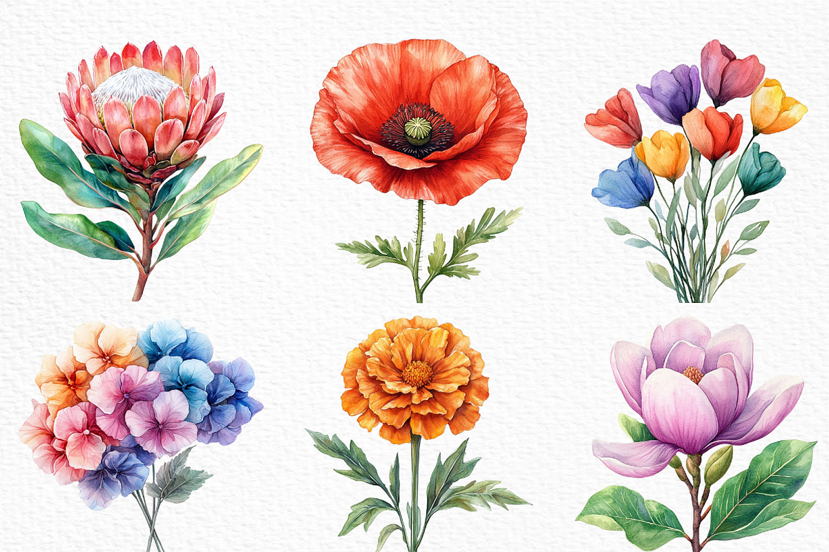Watercolor Bouquet Clipart, an Illustration by Craft Nest (Photo 4 of 6)
