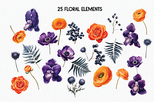 Solseta Floral Illustration Bundle