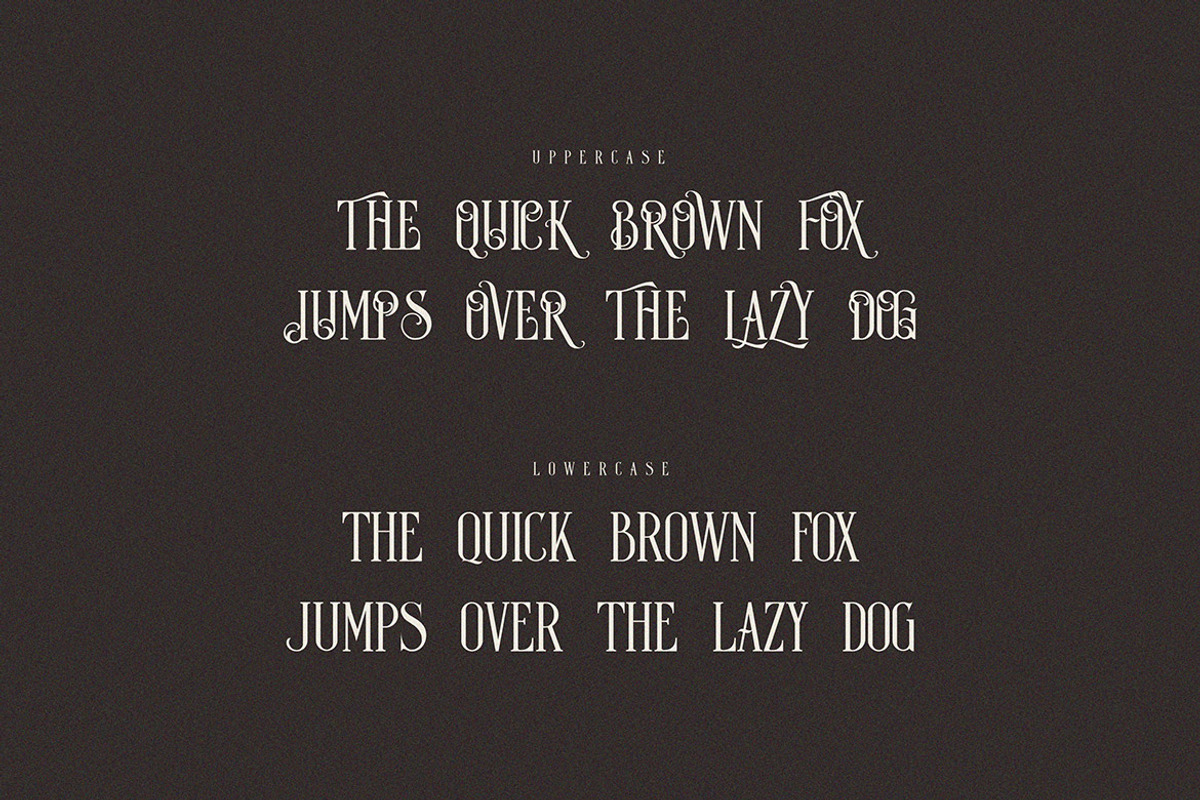 Dark Luna Vintage Condensed Serif, a Slab Serif Font by JumboDesign (Photo 2 of 6)